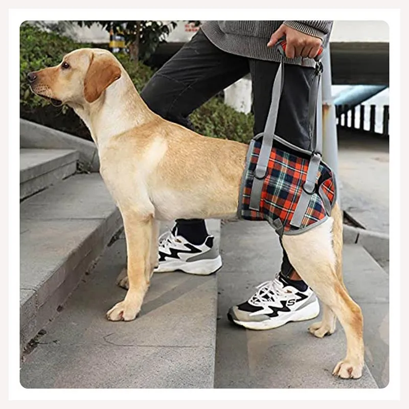A a Pets' Dog Lift Support Harness for hind legs
