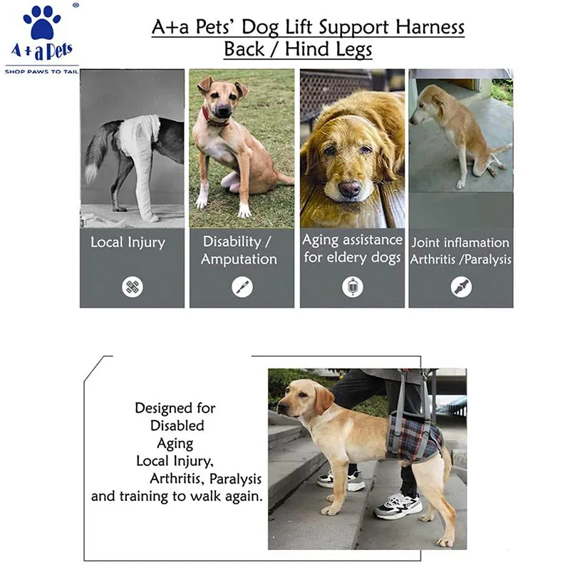 A a Pets' Dog Lift Support Harness for hind legs