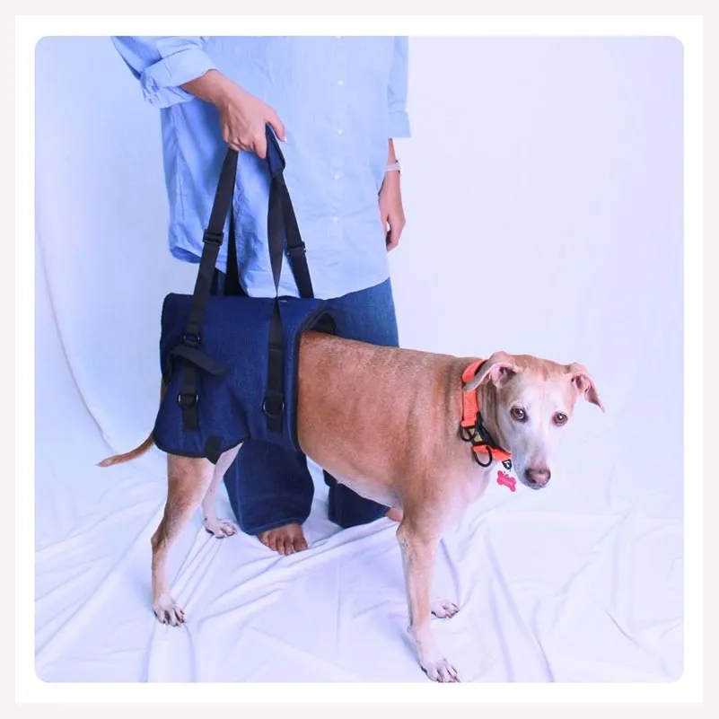 A a Pets' Dog Lift Support Harness for hind legs
