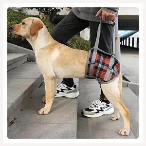 A a Pets' Dog Lift Support Harness for hind legs
