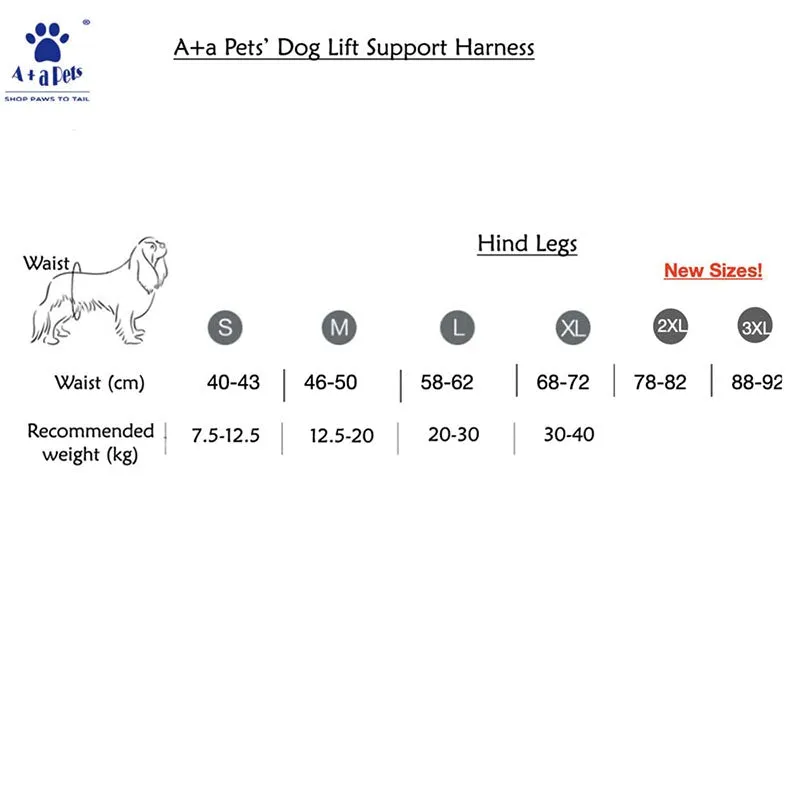 A a Pets' Dog Lift Support Harness for hind legs