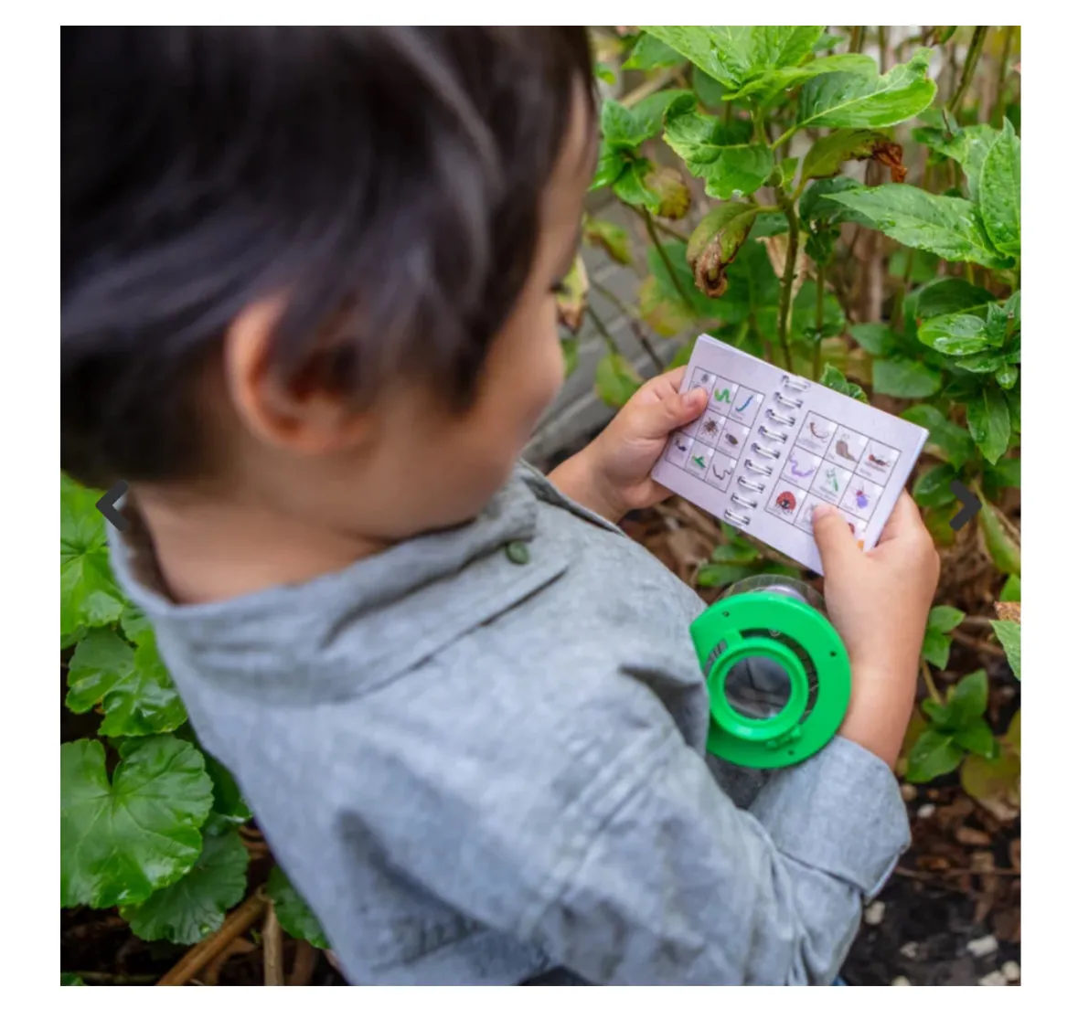 bug spotter kit