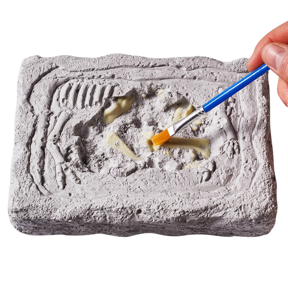 Dinosaur Digging Toy - Excavation Kit For Kids