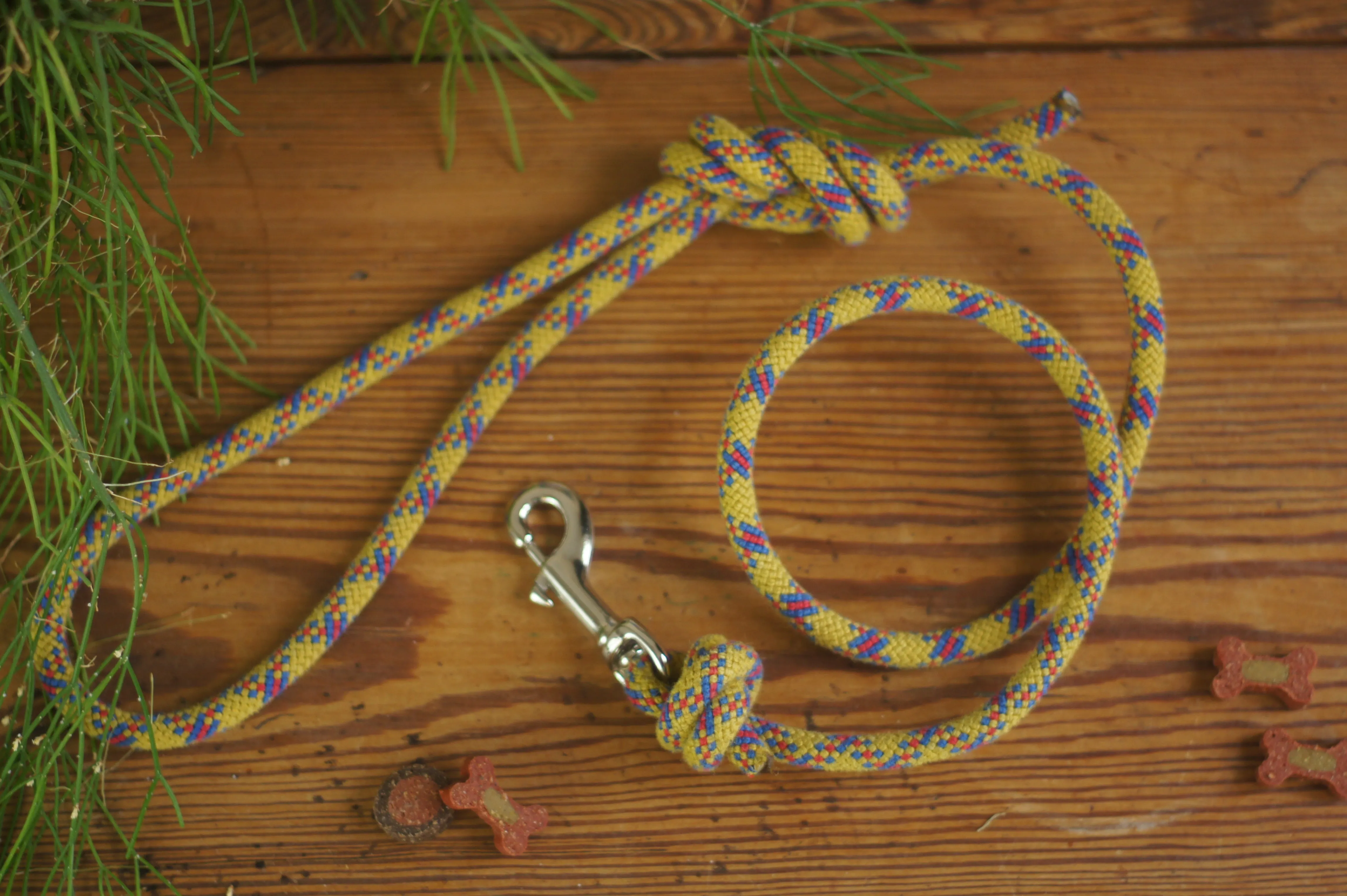 Dog Lead 0076